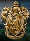 Gryffindor Crest Wall Art